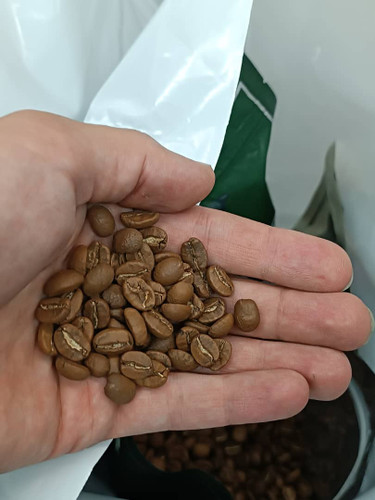 قهوه نیکاراگوئه ۱۰۰٪ عربیکا اسپشیالتی پابلوکافی – فروش عمده با بستهبندی استاندارد و رست تازه